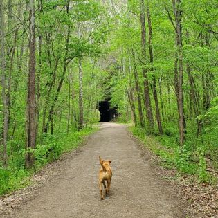 Kings Hollow Tunnel is a short jaunt from camp.