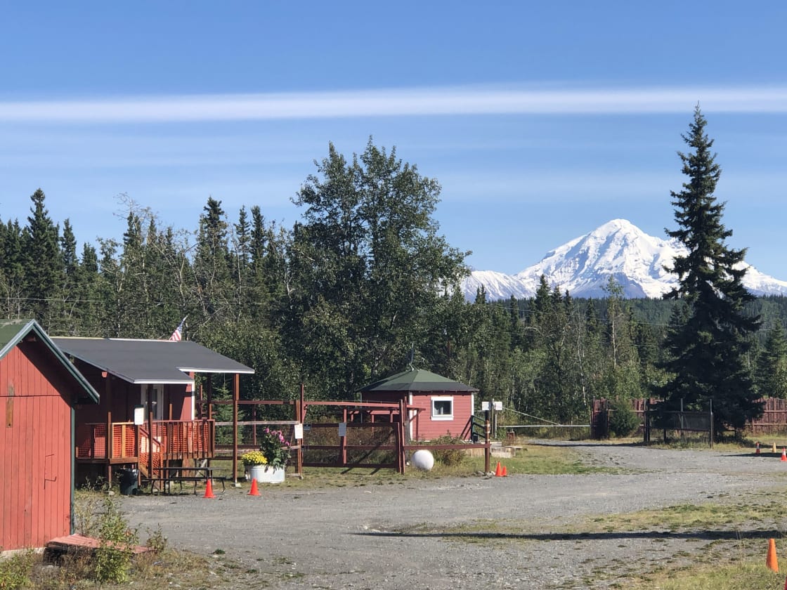 View of Mt Drum from the property. 