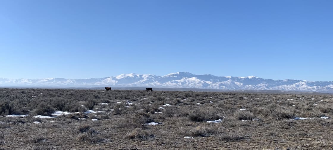This is the Owyhee Mountain range where we are delighted to call home.