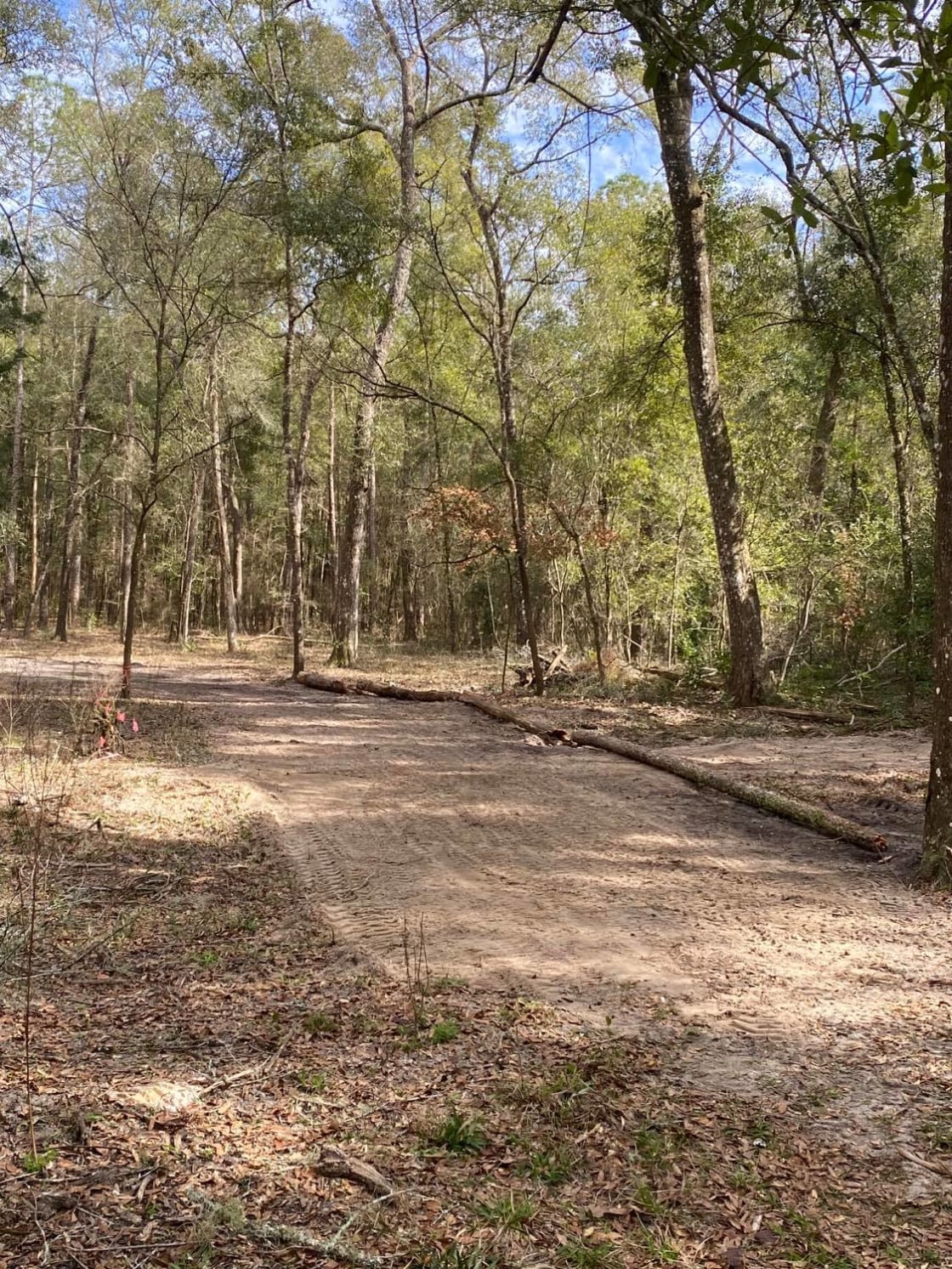 New driveway to primitive camping area at the rear of the property.