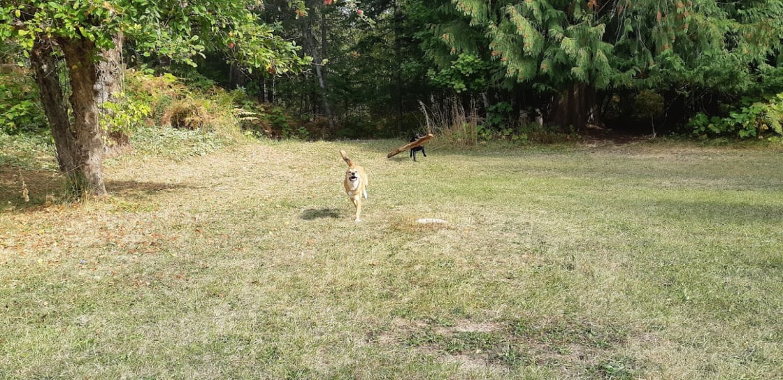 Sam and Max cleaning up a campsite.
