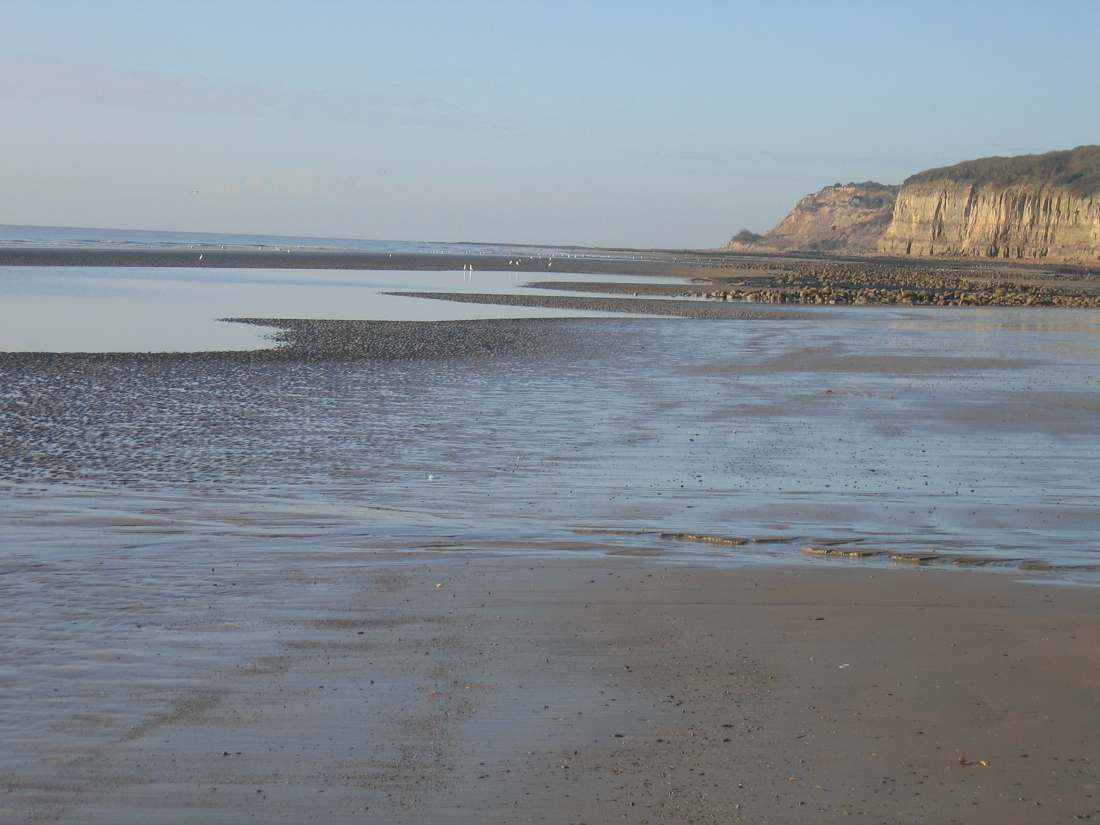 Less than 1 mile from Pett Level Beach