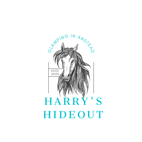 Harry's Hideout