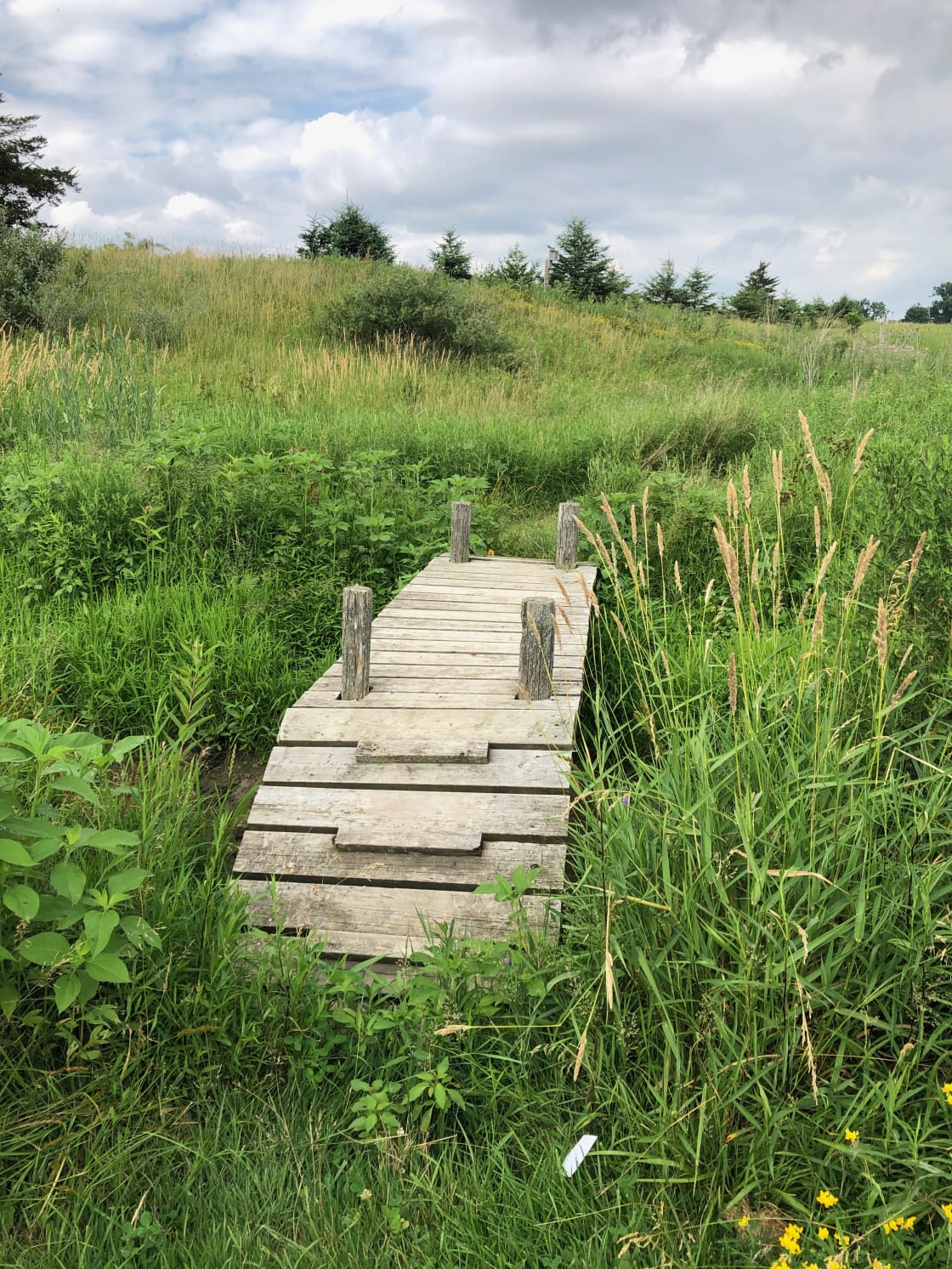 A quaint bridge you cross to get from your site to the barnyard, outhouse and the barnyard trail.
