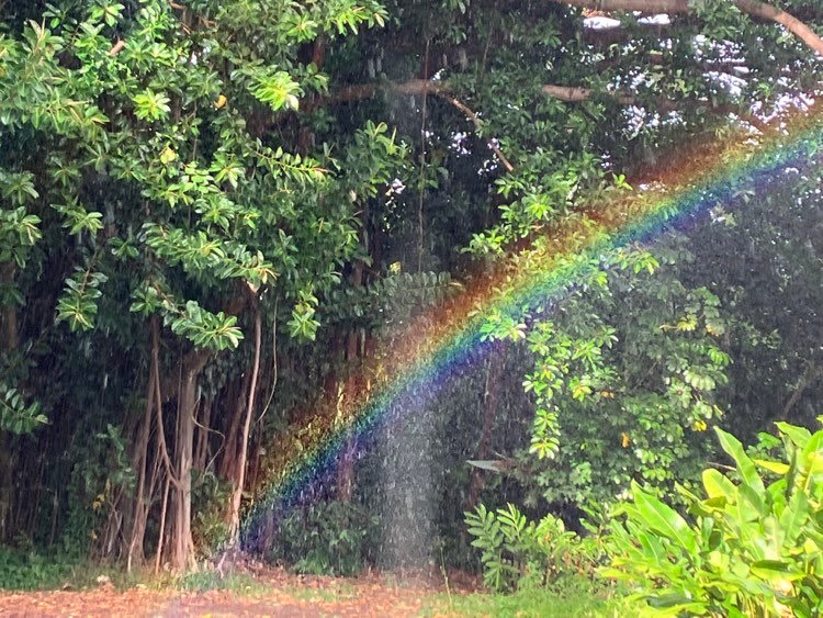Beautiful Rainbow with a portal showcasing the Banyan Tree site.