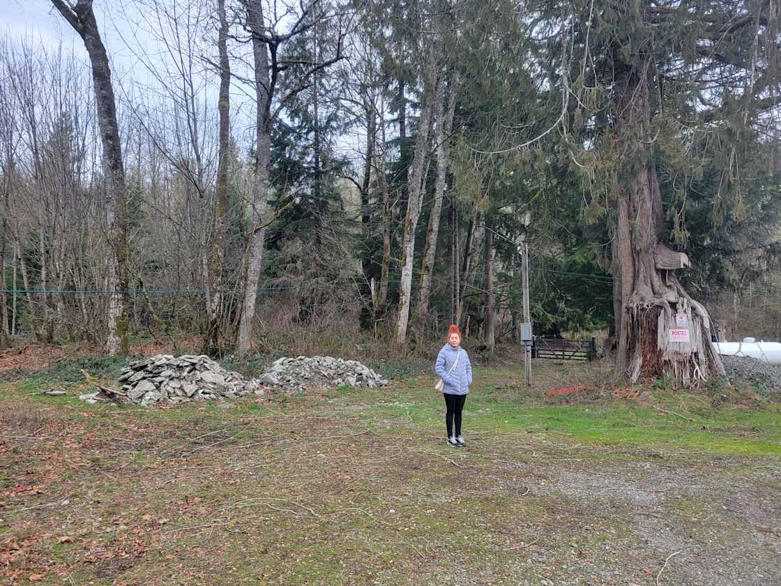 Taylor Mountain Farm