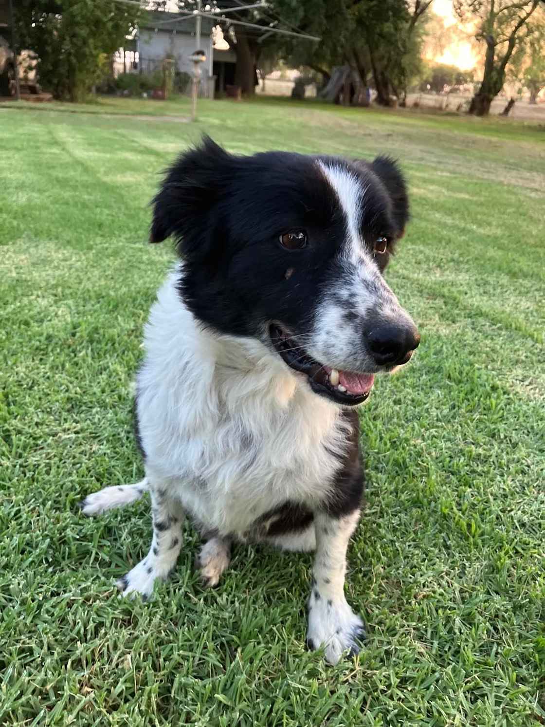 Oddie.