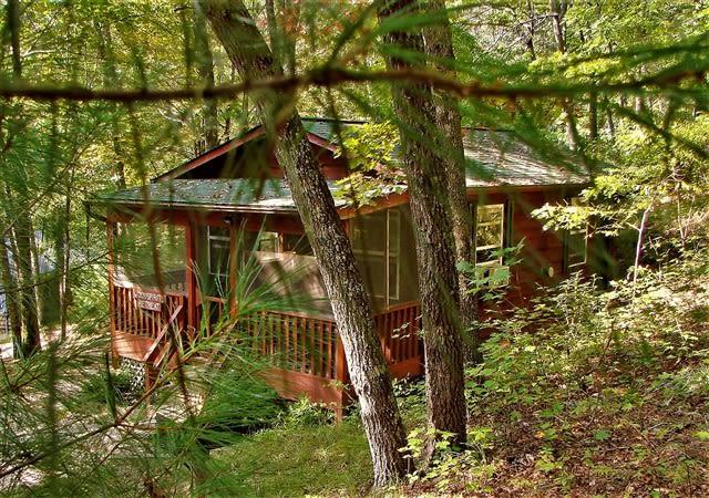 Ash Grove Cabins and Camping