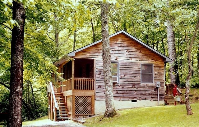 Ash Grove Cabins and Camping
