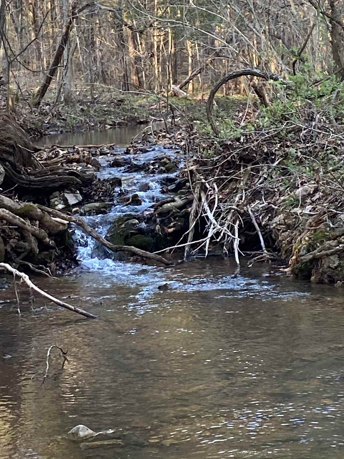 Water from our springs