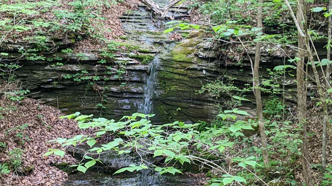 Hike down to this small waterfall onsite.