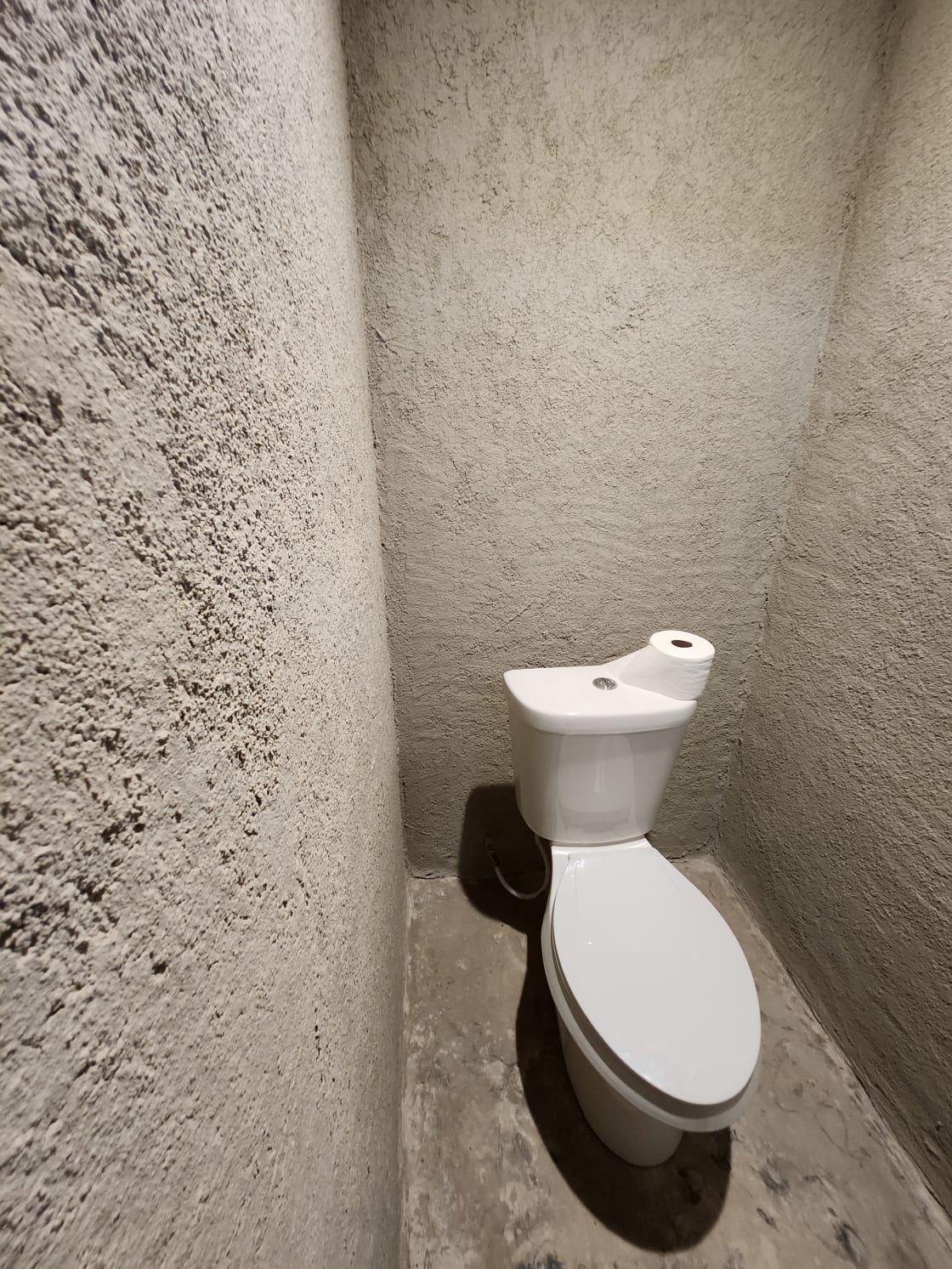 CLEAN Flushing Toilet