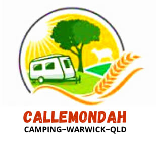 Callemondah Farm Camping