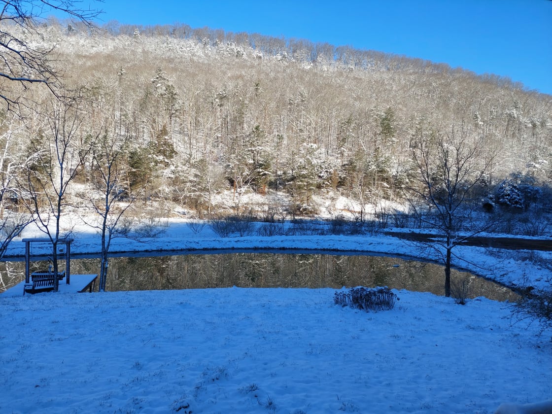 pond in winter
