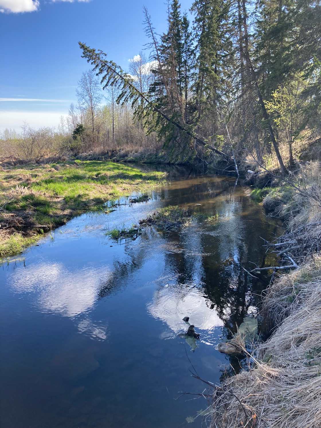 Red Willow River Landing
