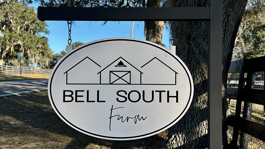 Welcome to Bell South Farm