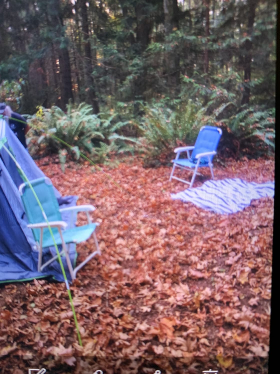 Campsite set up