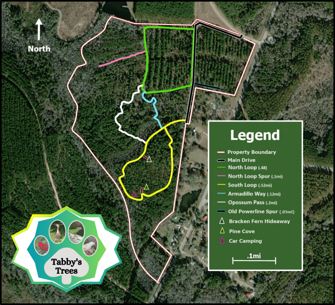 New Site Map! Also available as a georeferenced PDF to track your travels along the trails! 
Send me a message if you'd like me to send you the map.