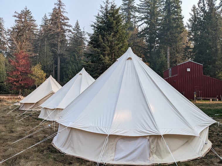 Forest Creek Glamping Tents
