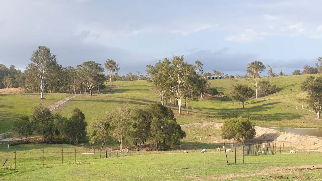 Macallon Farm Stay