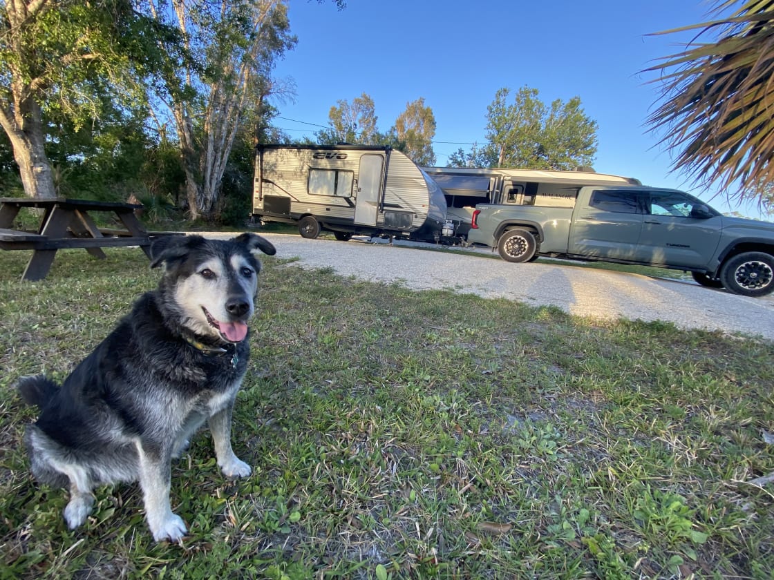 Trixie - the sweetest HipCamper who had a great time hanging out! She enjoyed laying out on the grass and seeing the animals. :) 