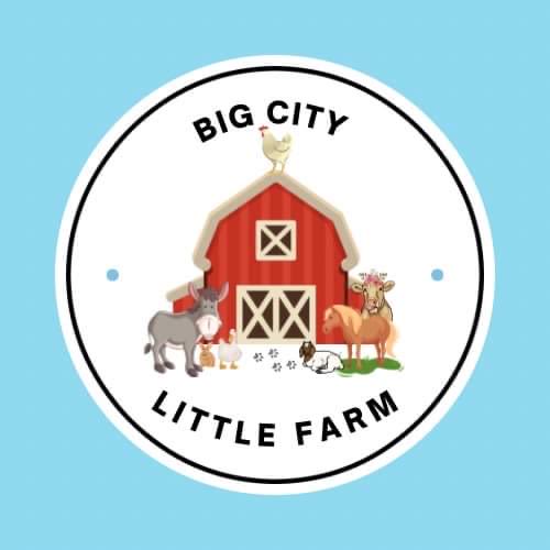 Big City Little Farm