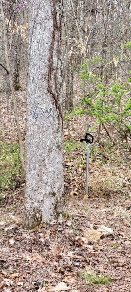 Address marked on the tree and water spigot location 