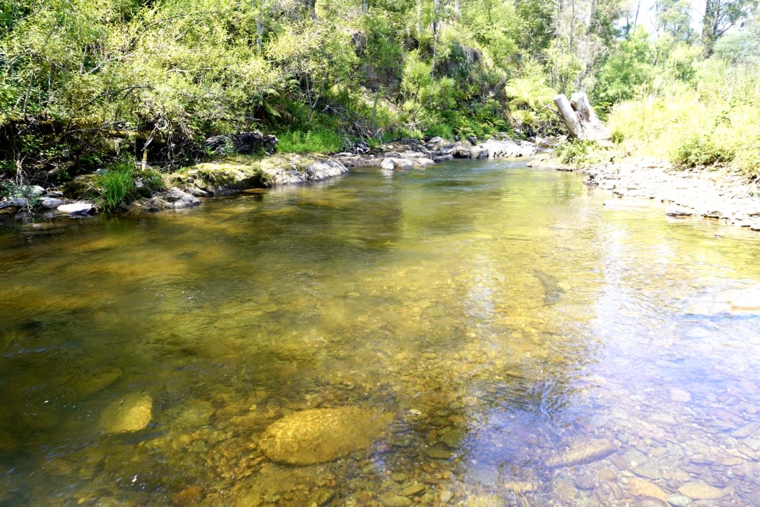 The Beautiful Ovens River within walking distance