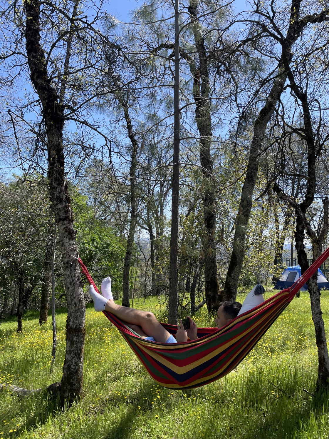Sierra Camping Experience