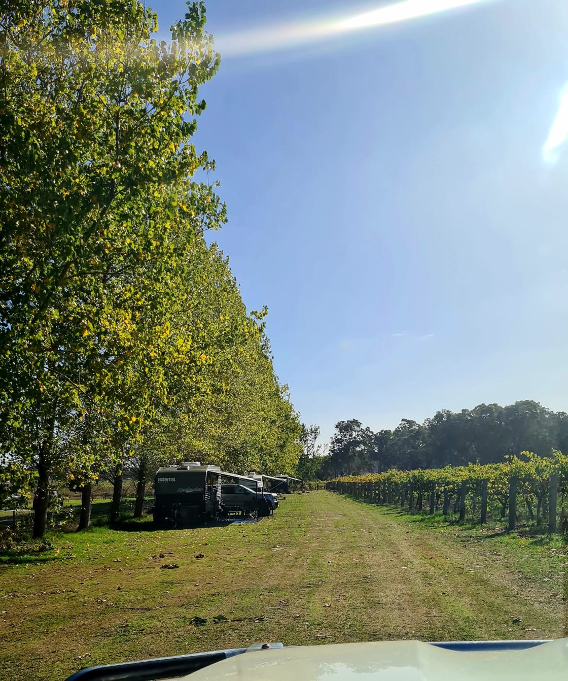 Jarvis Estate Winery & Camping