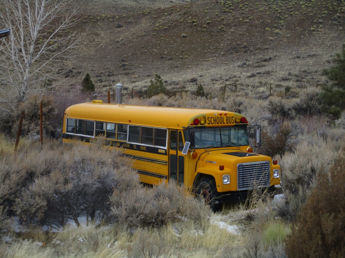 Yellow Bus, Lime Creek
