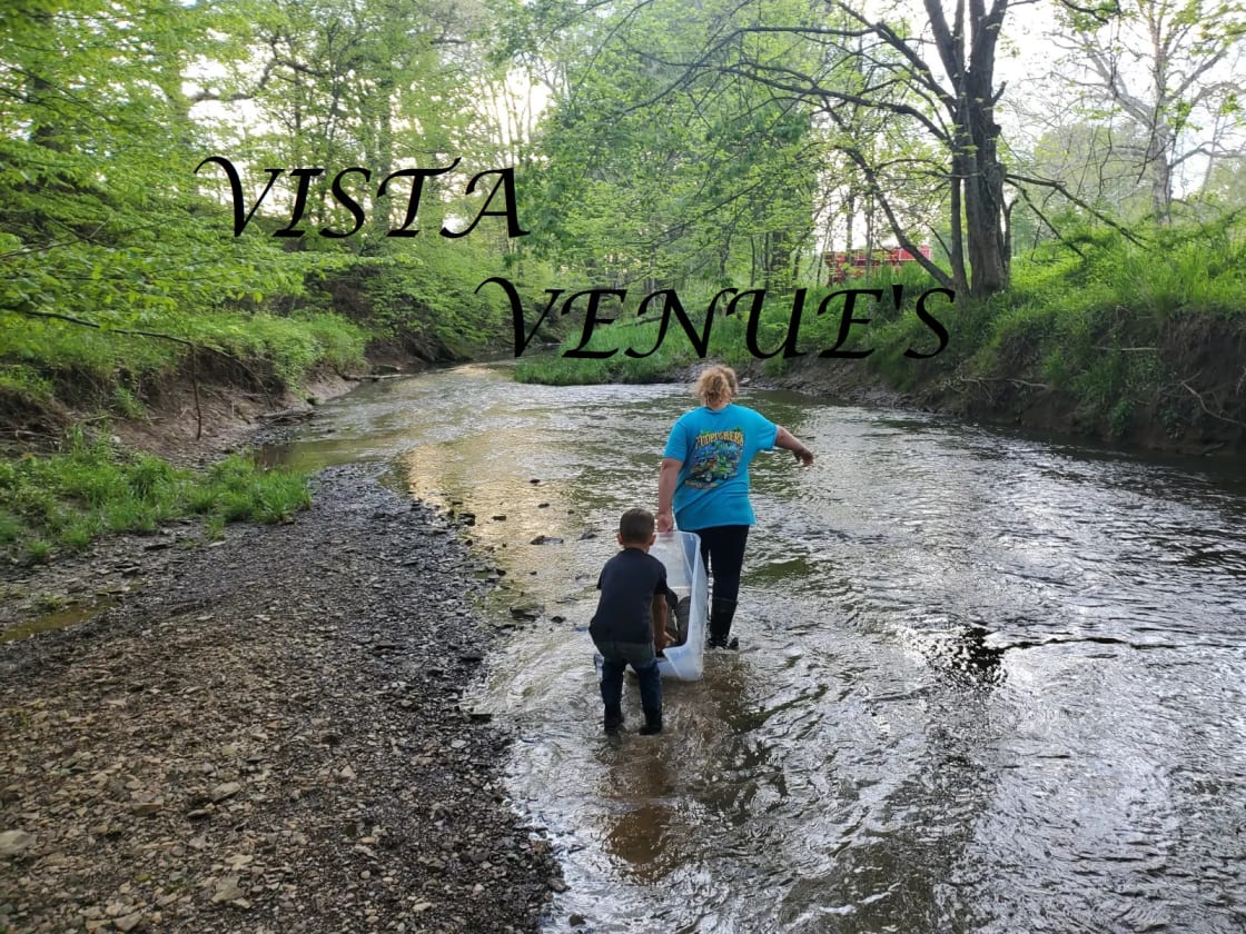 Vista Venue's