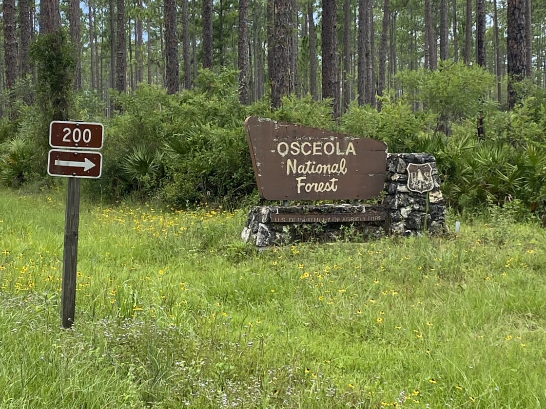 Entrance of Osceola National Forest