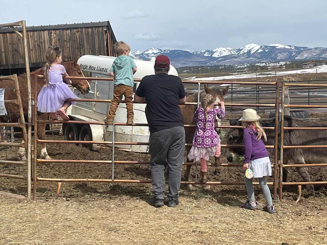 Story Tree Guest Ranch