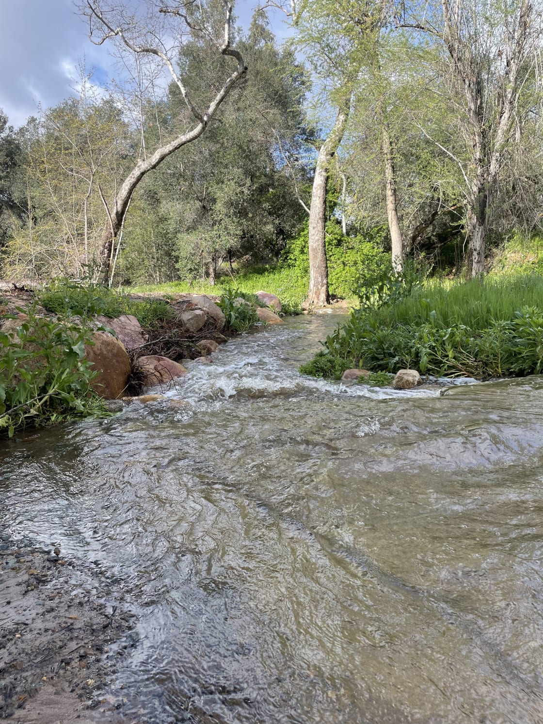 San Diego Canyon Creek