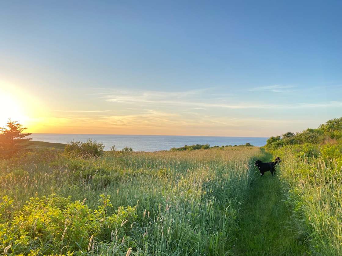 Sunny view at the rear of the property.