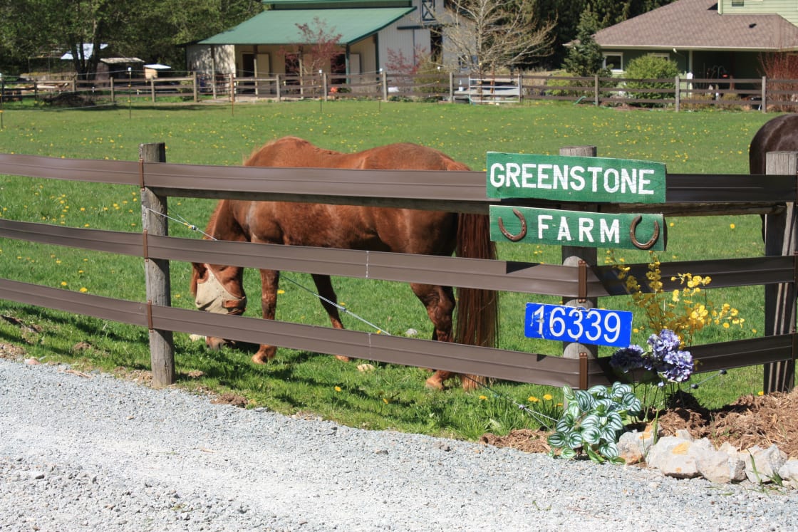 Welcome to Greenstone Farm