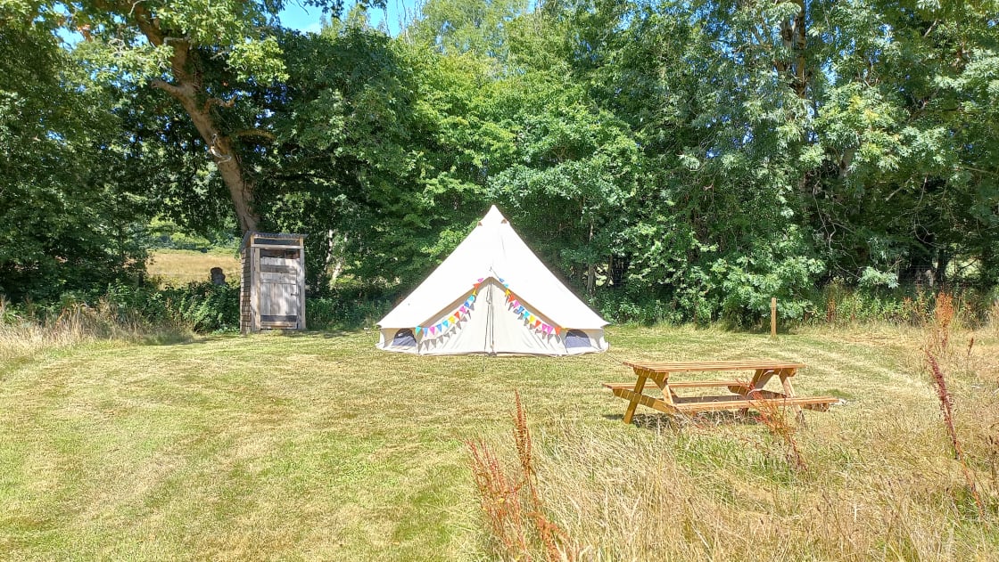 Owl pitch with Bell tent
