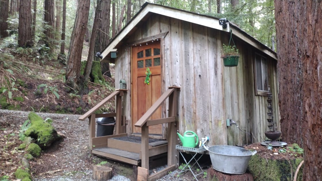 Redwood Retreat: Camping & Cooking