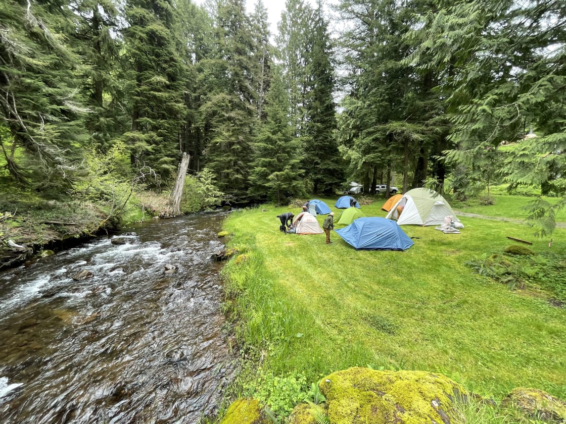 Come camp along Cedar Creek! A year round, rushing body of water that will lull you to sleep every night