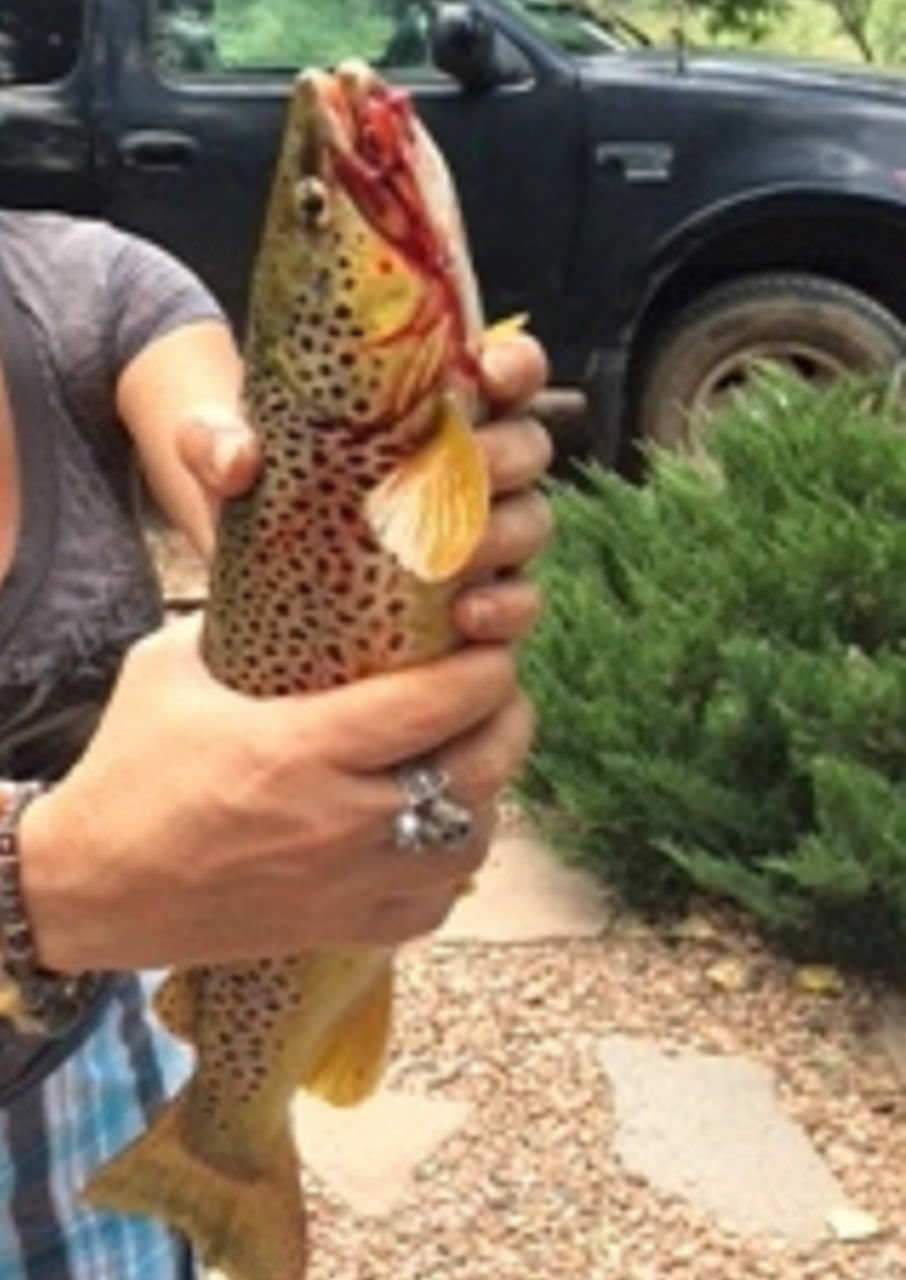 Like to fish? Cottonwood Camp is the place to do it! This trout was caught on our property.