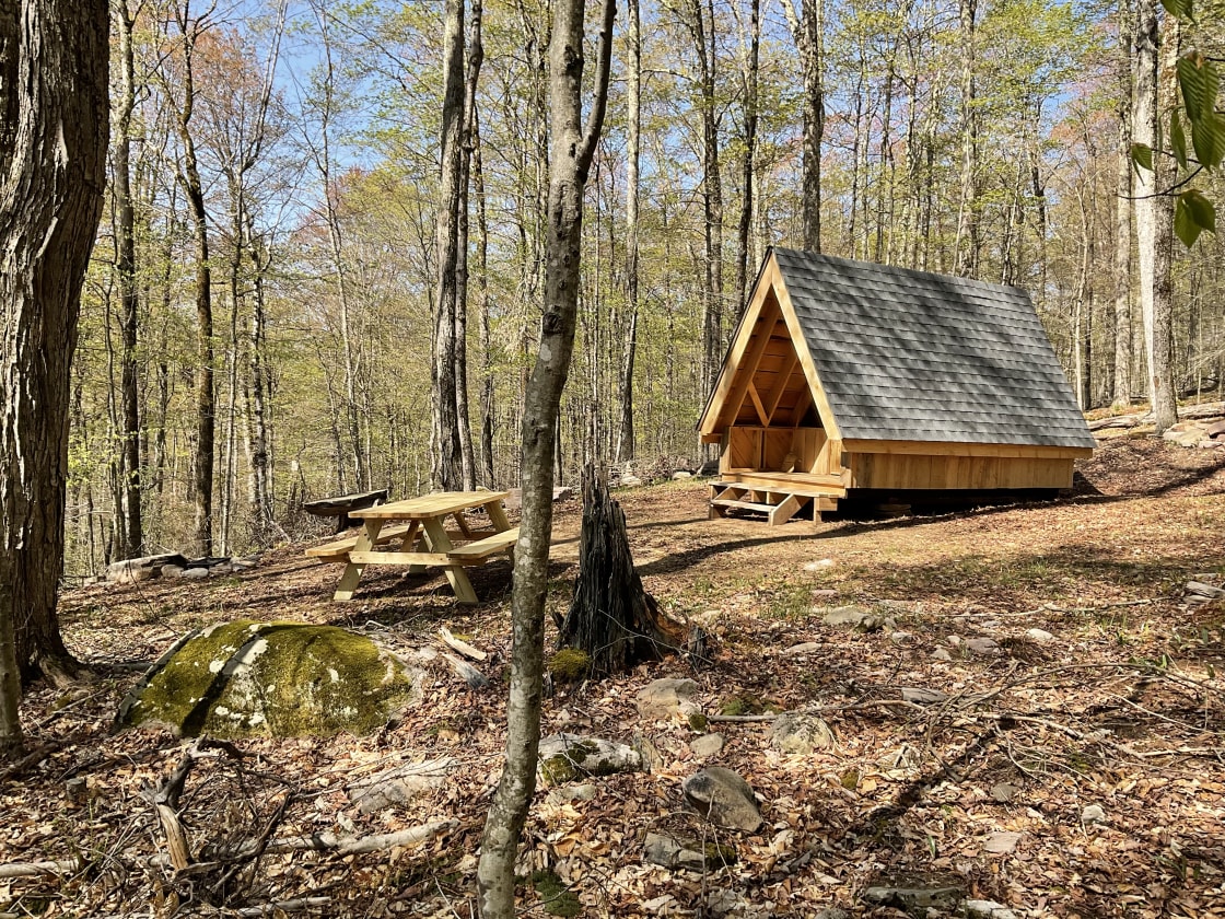 Burr Oaks Forest secluded campsites