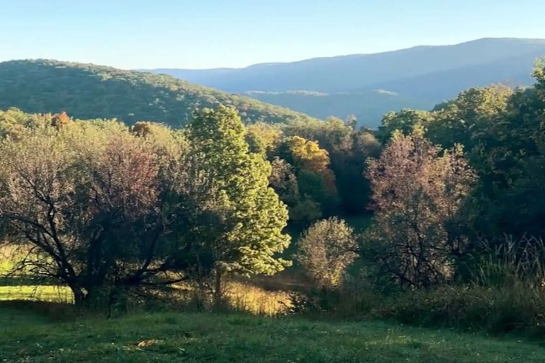 The Trails at Files Creek