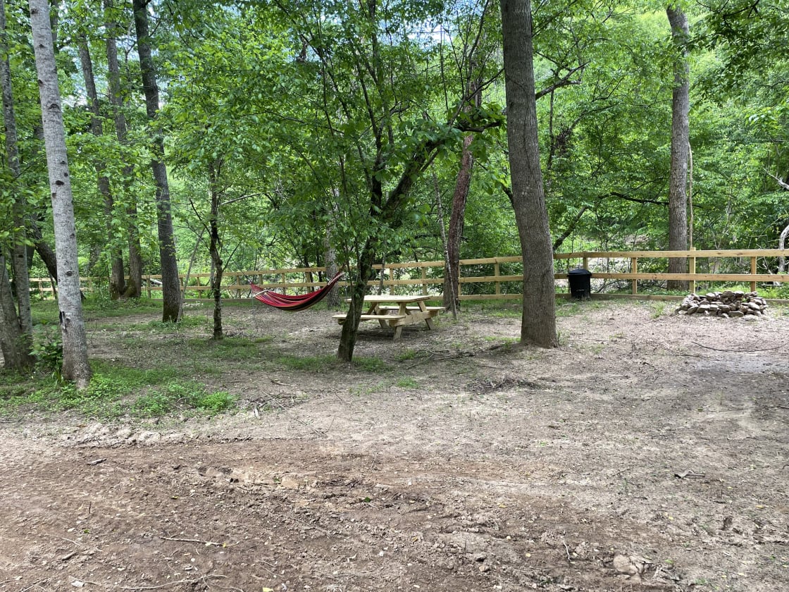 Example of part of one off the riverfront campsites. 