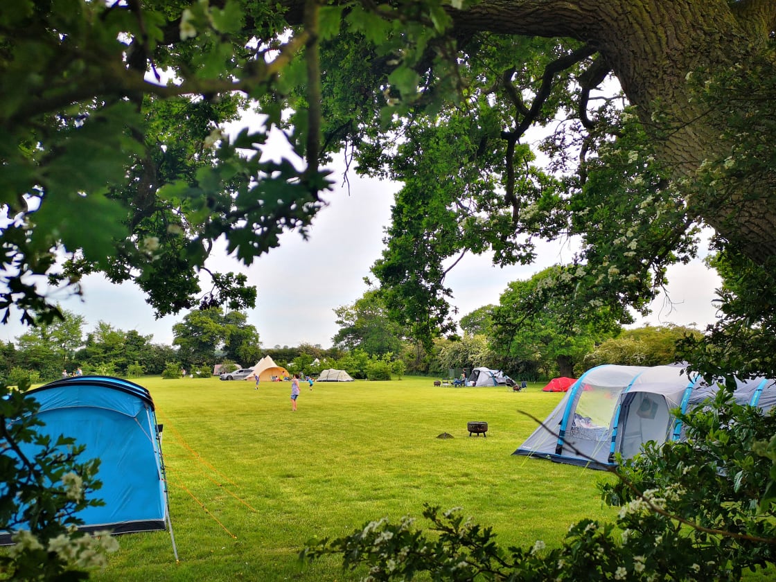 View of Camping Field