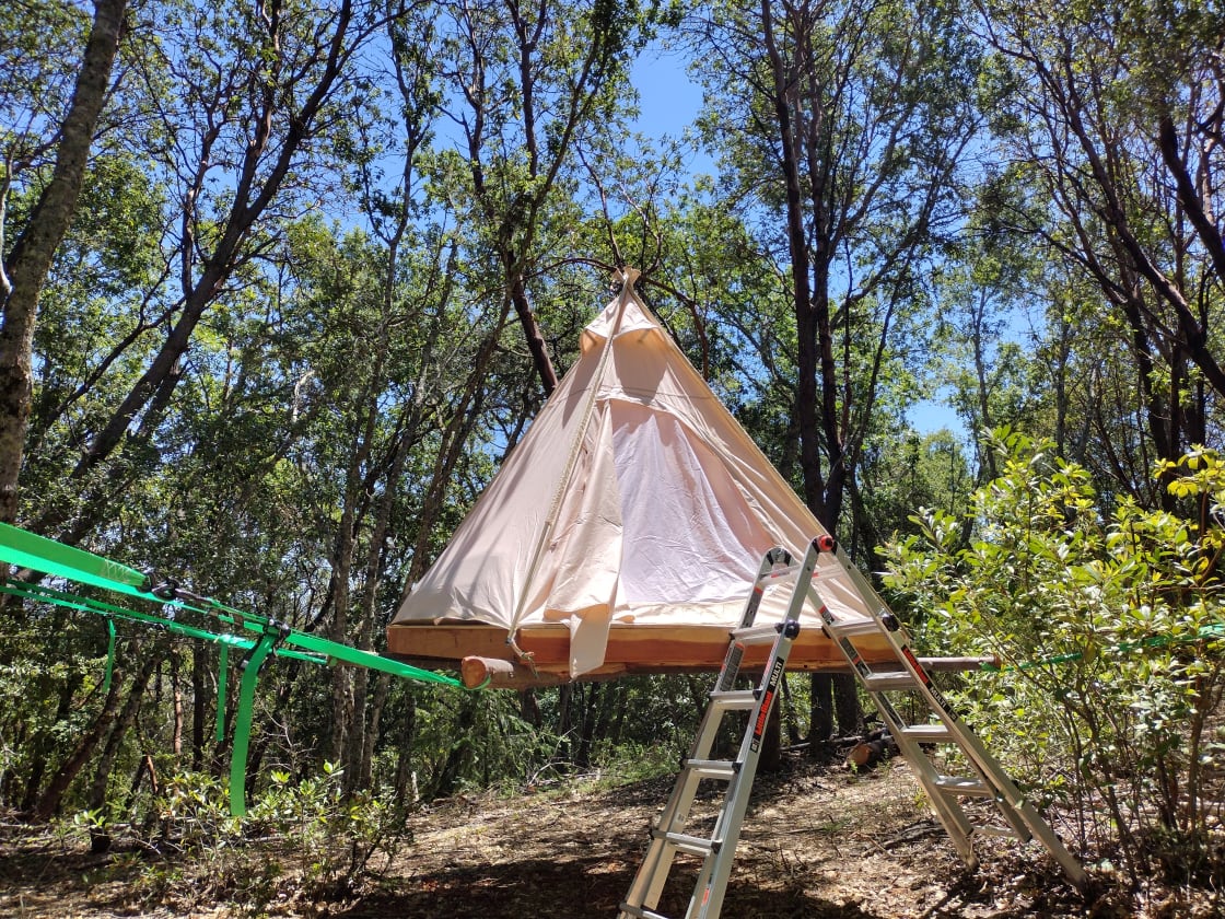 The Treenet Tipi is 330 yards (310 meters) from the parking and 120 yards (110 meters) from the kitchen and shower. 
