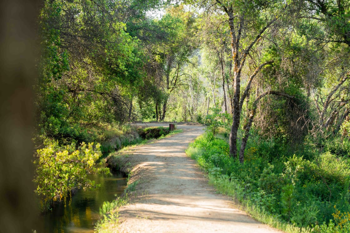 the Nature trail that can be found on the property