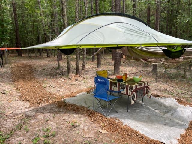 Tree tent without rain flysheet