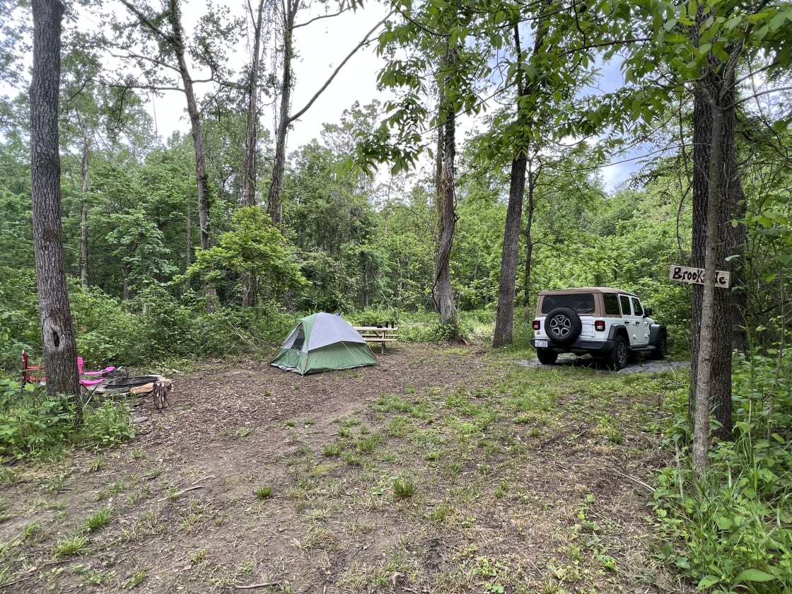 TangleWood Creekside Campsites