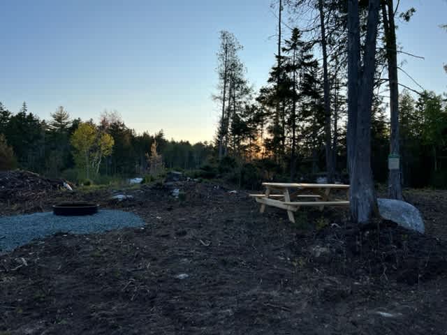 Dog Island Retreat